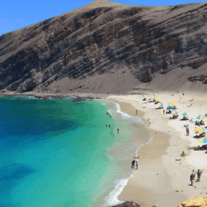 PARACAS TOUR